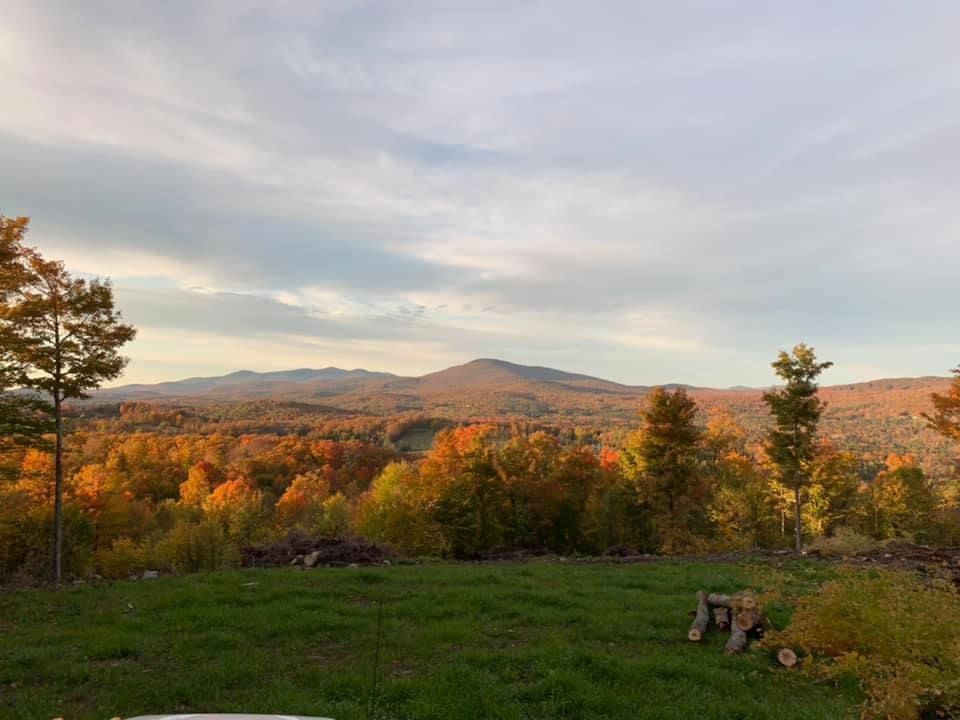 A view of a field with trees and mountains in the background.