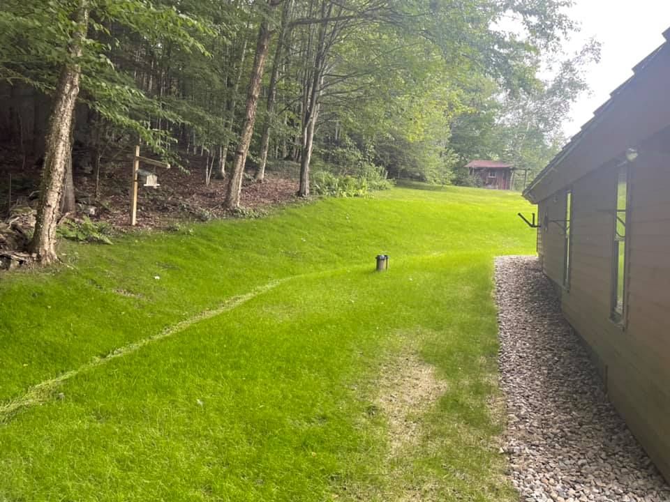 A dog is standing in the grass next to a house.