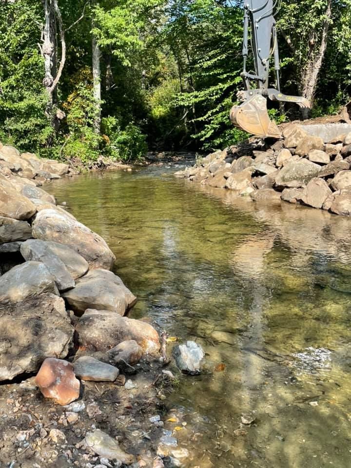A river surrounded by rocks and trees in the middle of a forest.