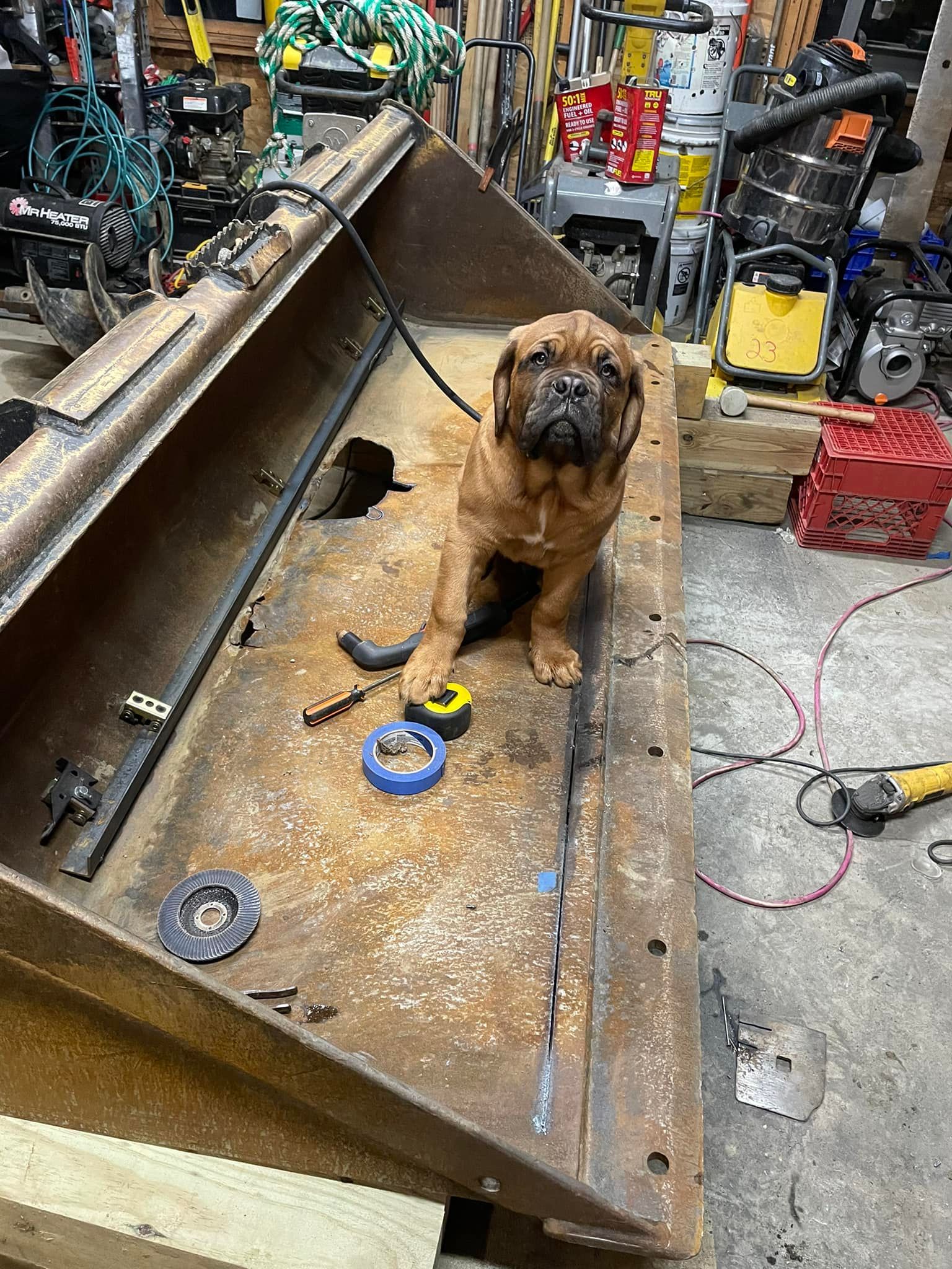 A dog is sitting on top of a rusty metal bucket in a garage.