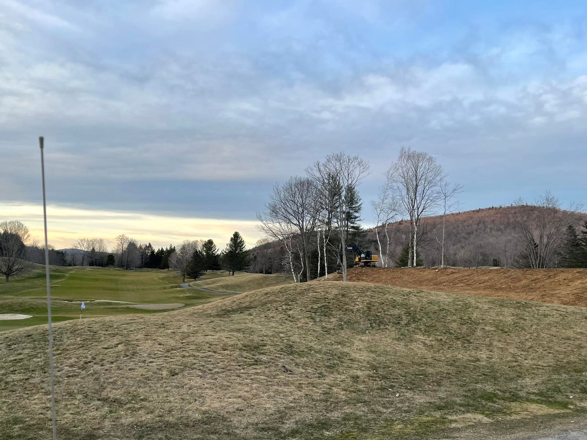 A field with trees and a mountain in the background.
