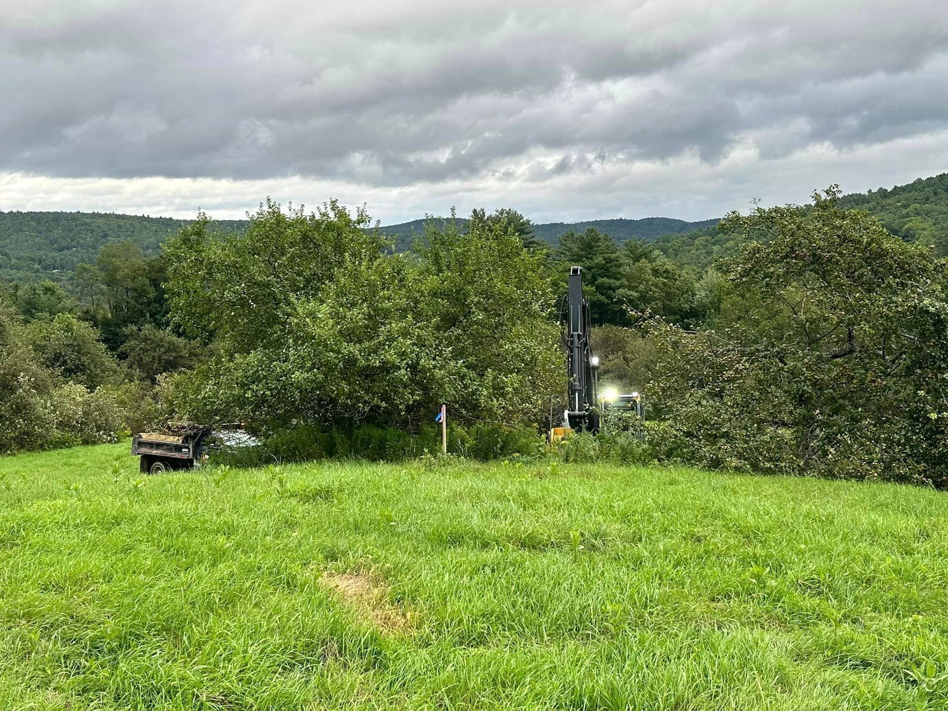 A large grassy field with trees in the background on a cloudy day.