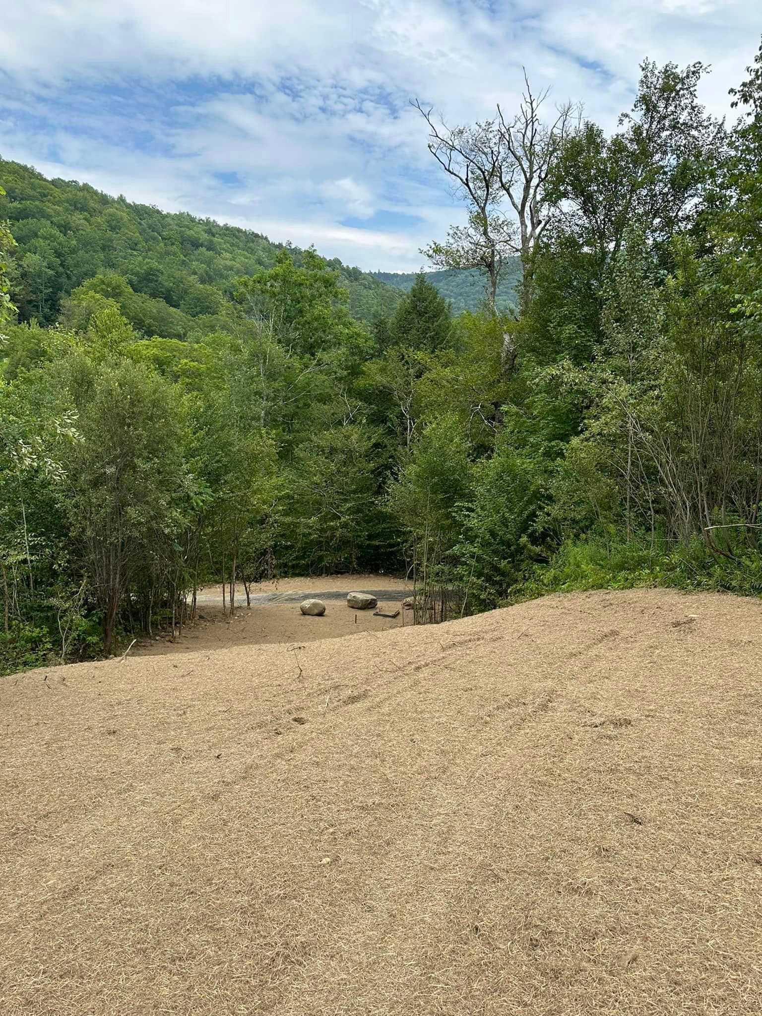 A large pile of gravel is sitting in the middle of a forest.
