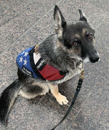 Maverick
