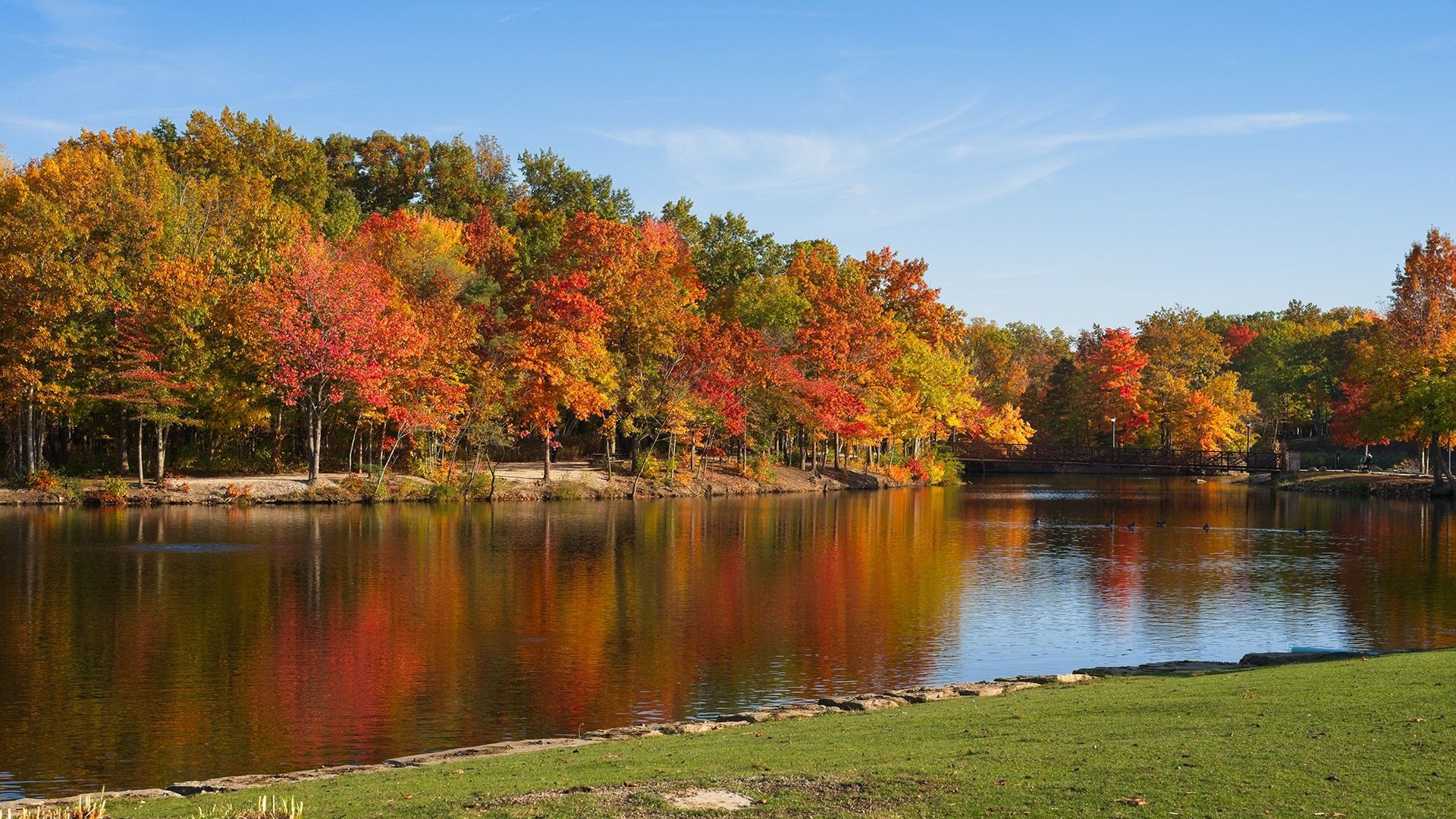 A lake surrounded by trees with autumn leaves on them