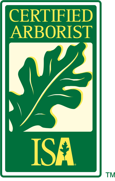 Green and yellow Certified Arborist logo with an oak leaf.