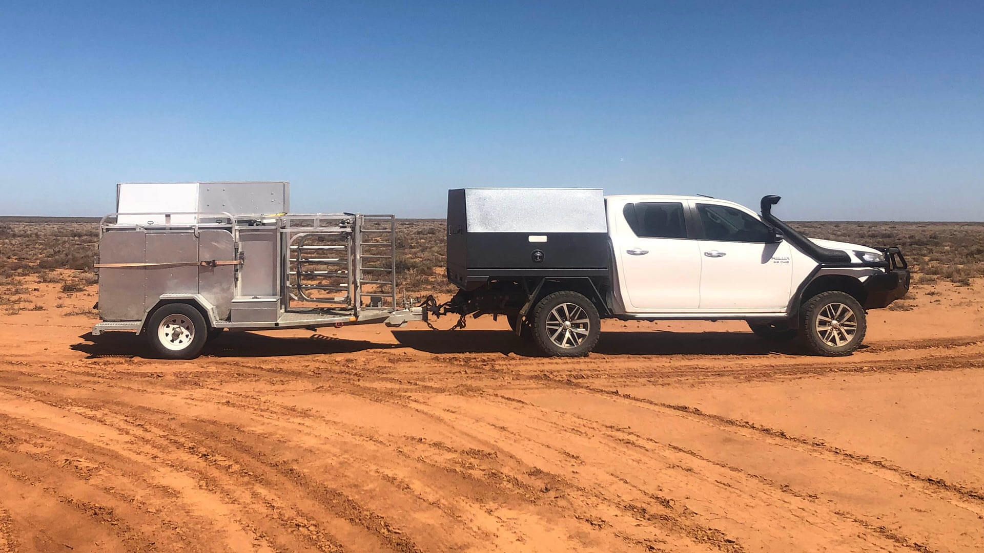 Sheep Scan Australia - Pregnancy Scan Equipment