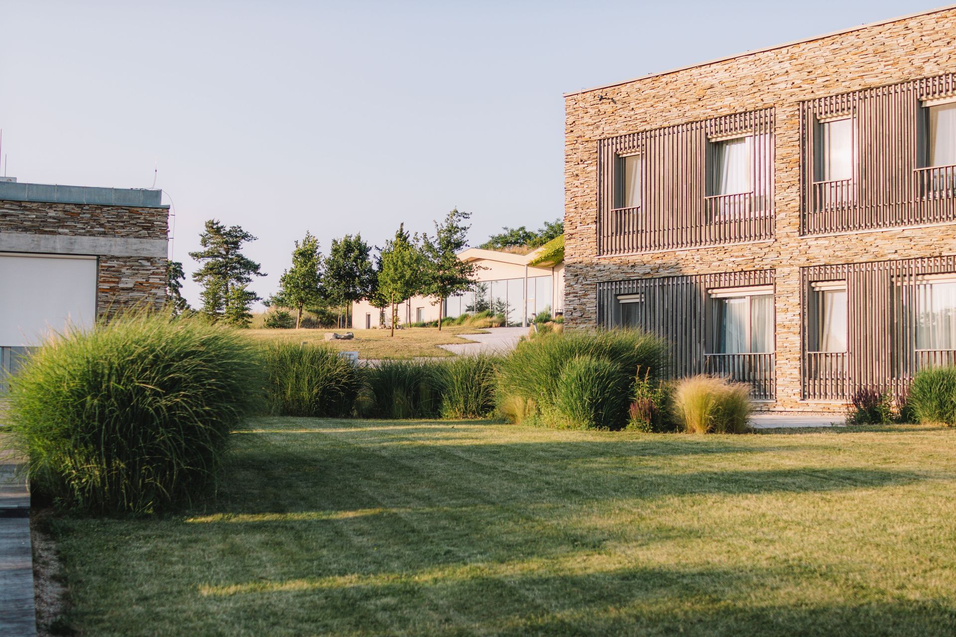 Modern house with a manicured lawn, shrubs, and trees in warm daylight