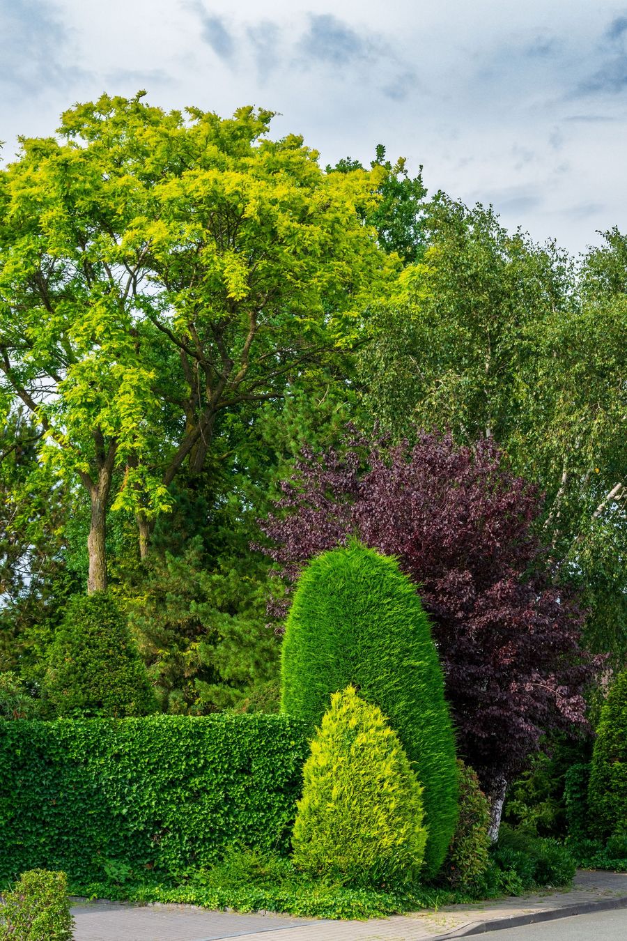 Colorful landscaped garden with trimmed green shrubs, purple foliage, and tall trees under a cloudy sky