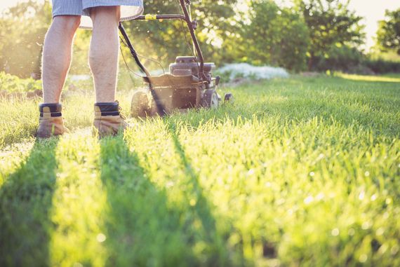 Person mowing a sunlit lawn with a push mower, seen from ground level