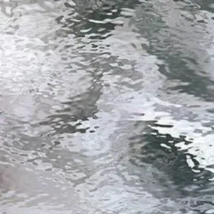 A close up of a body of water with a reflection of trees in it.