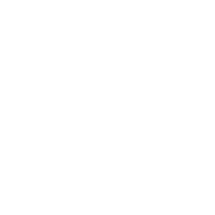 Logo-1