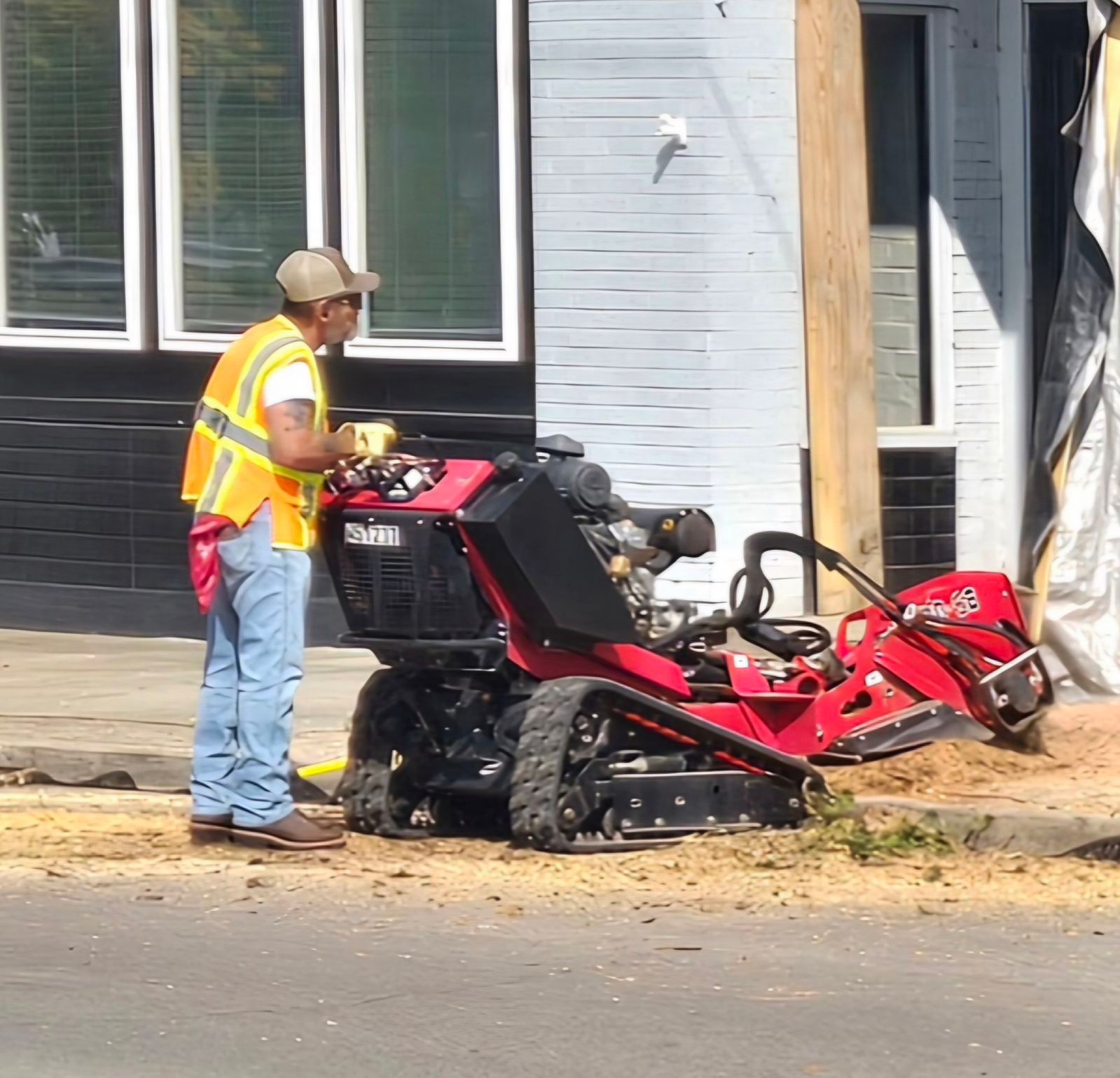 grinding a tree stump