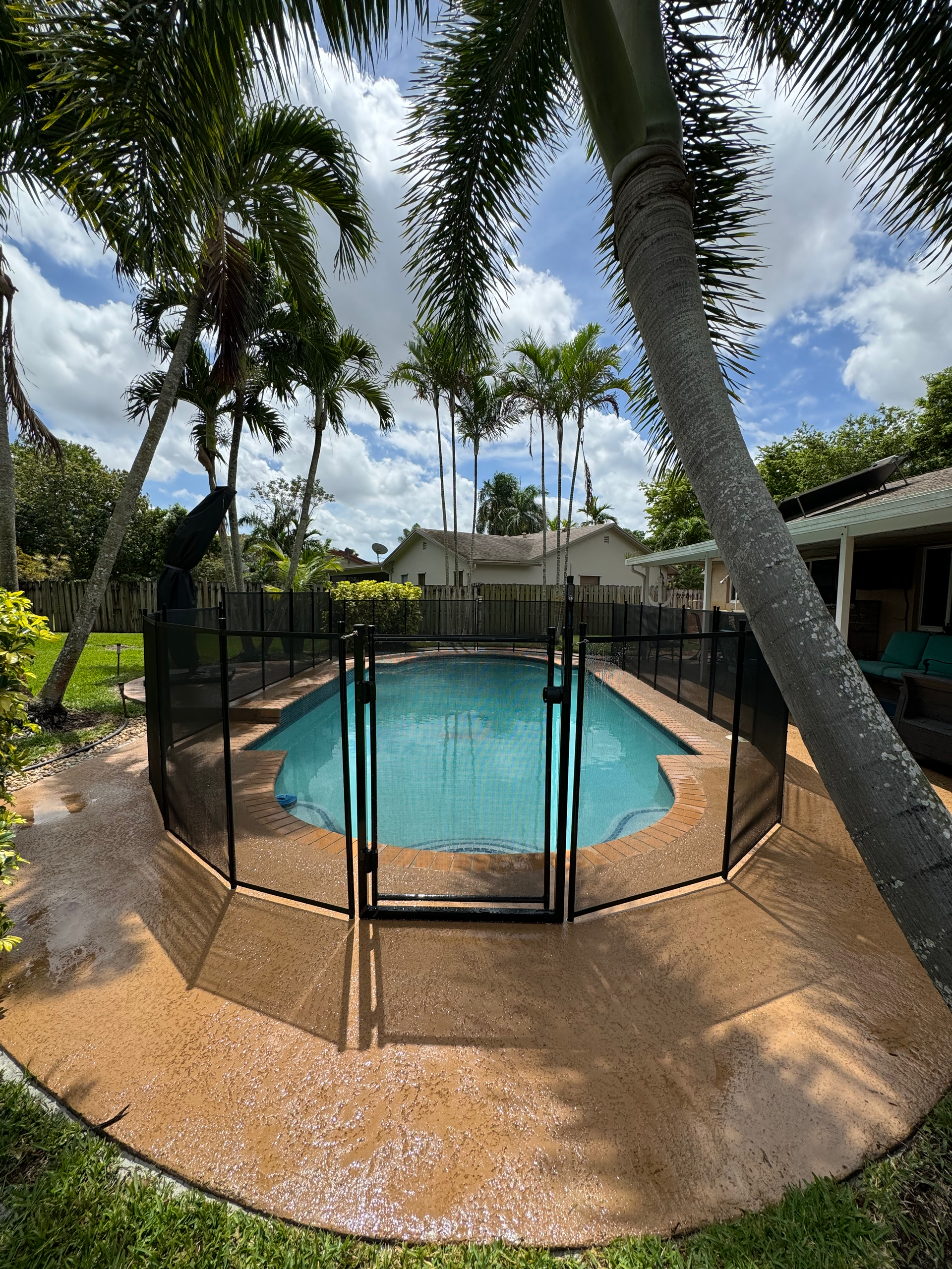 A swimming pool with a fence around it and palm trees in the background.