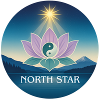 North Star Leadership LLC