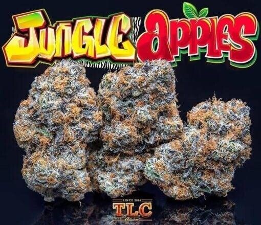 JUNGLE APPLEZ