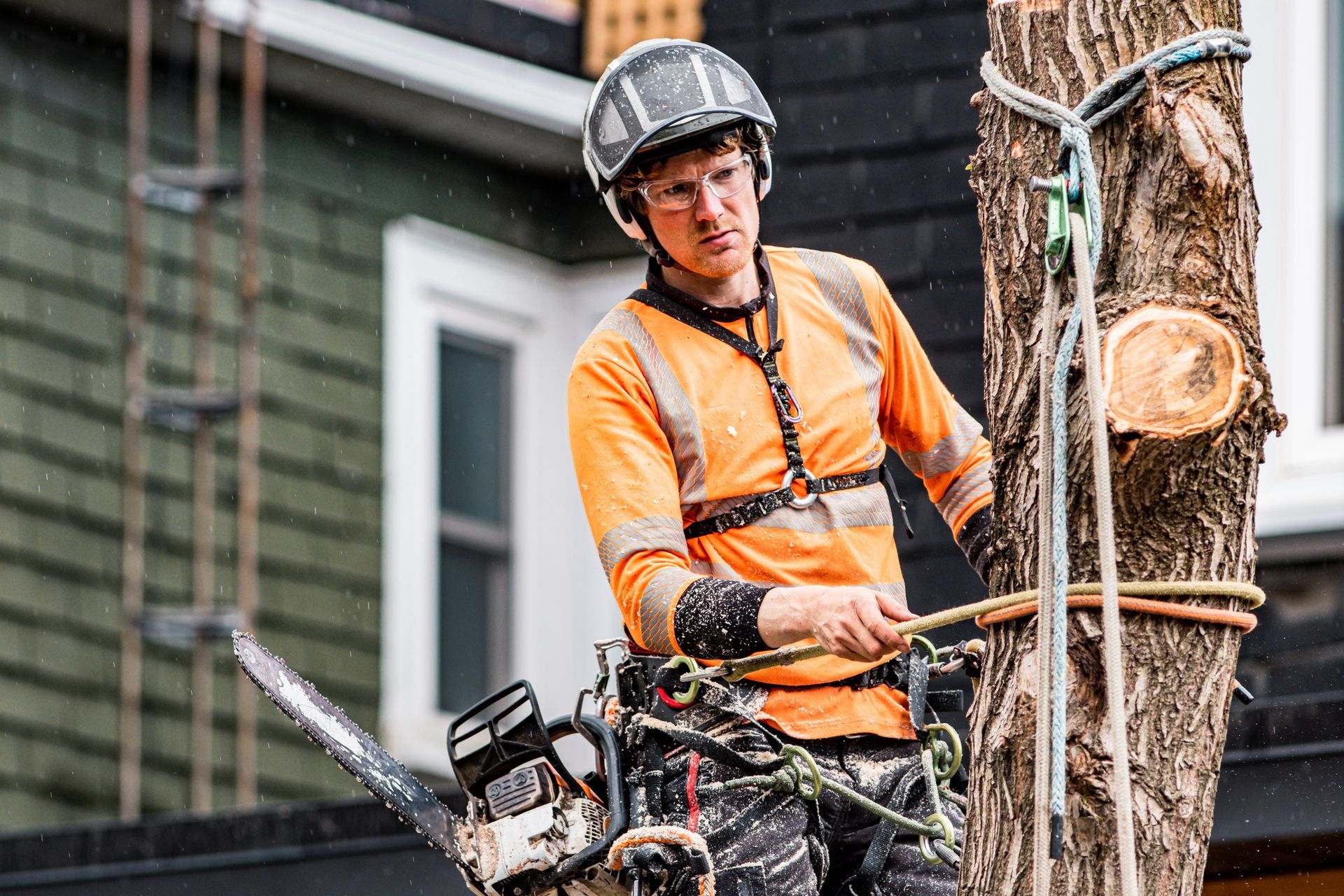 Young man climbing and cutting a tree in a backyard