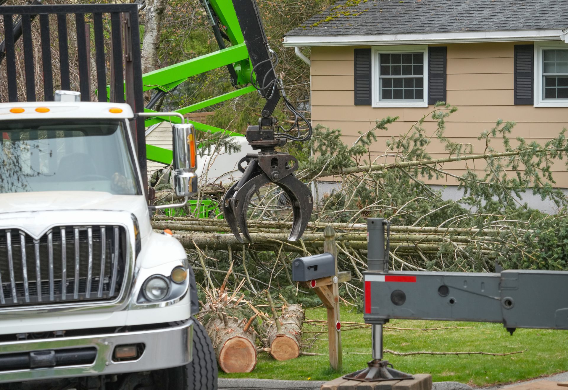 A green hydraulic grapple loader lifting cut tree logs into a white truck during yard cleanup