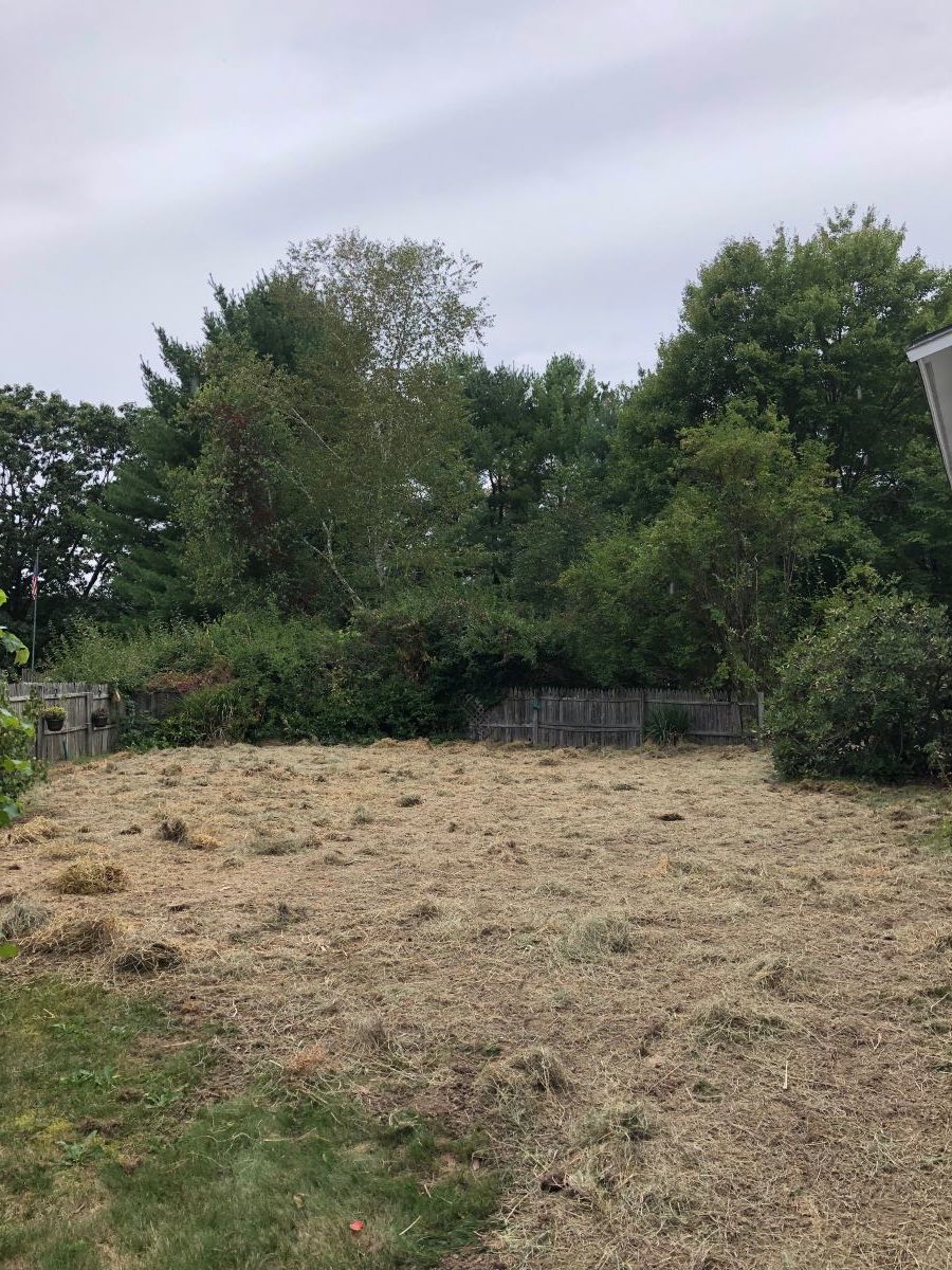 Old Pool Removal in Maine