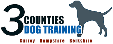 3 Counties Dog Training