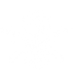 ICONA LOGO