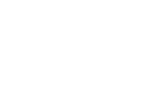 Diva Nails & Spa Logo