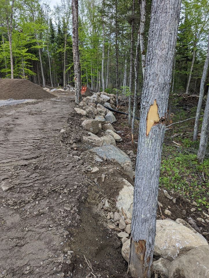 Un tronc d'arbre au milieu d'un chemin de terre dans les bois.