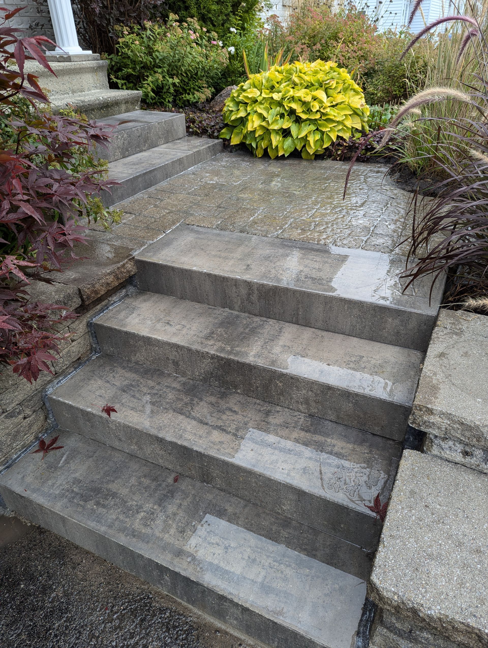 Un ensemble d'escaliers en béton menant à un jardin.