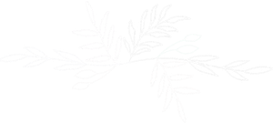 A white, minimalist logo consisting of stylized lines forming an abstract, symmetrical leaf on a black background.