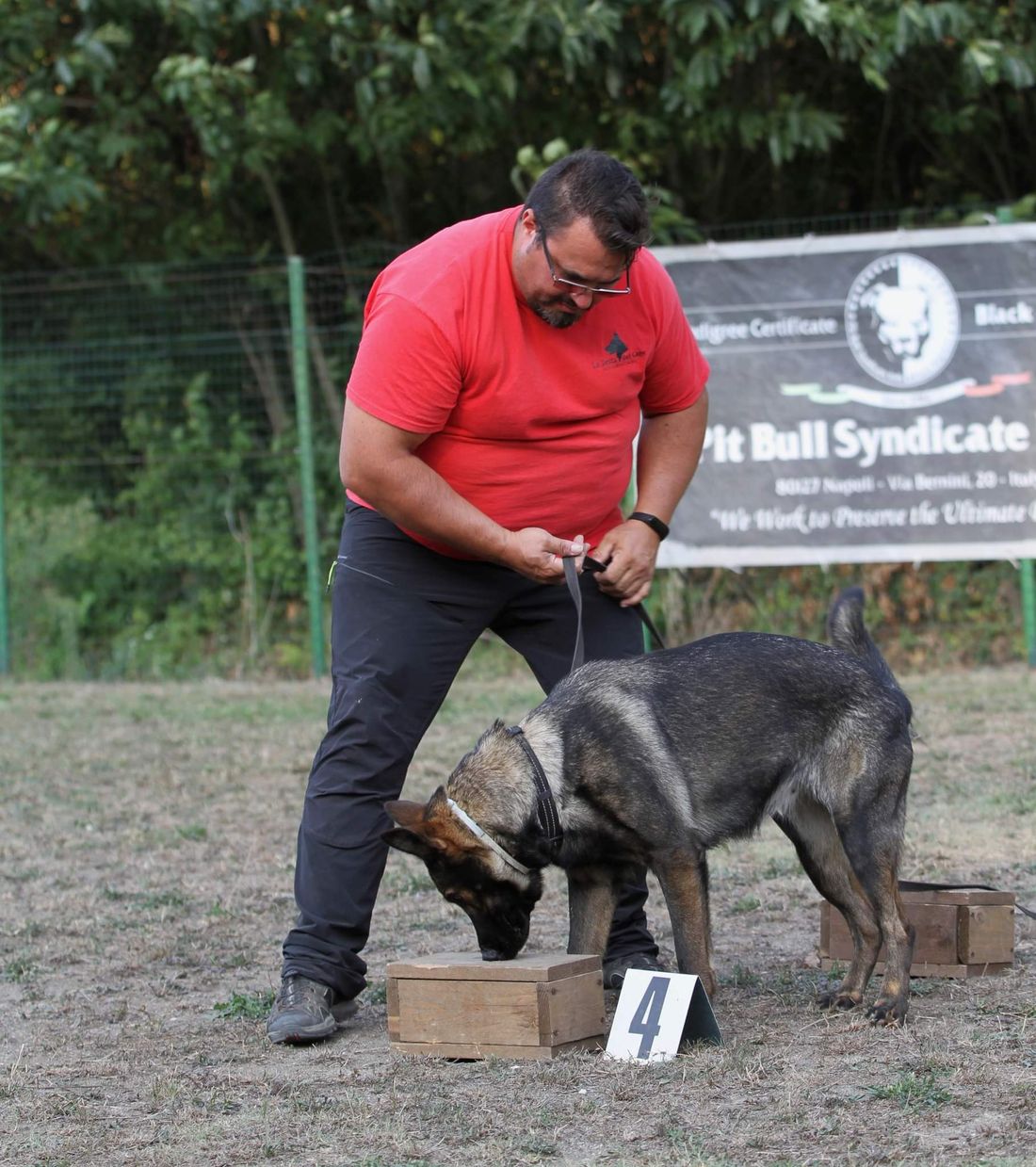 Un addestratore cinofilo e un cane durante una sessione di Nosework