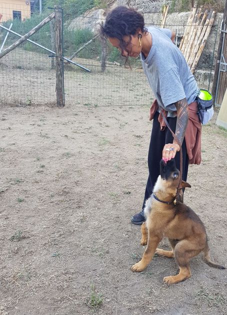 Un'addestratrice cinofila che istruisce un giovane cane