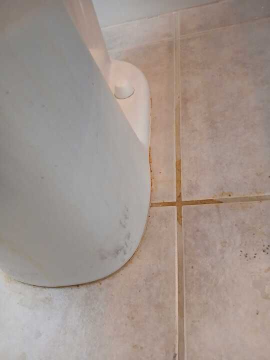 A white toilet is sitting on a tiled floor in a bathroom.