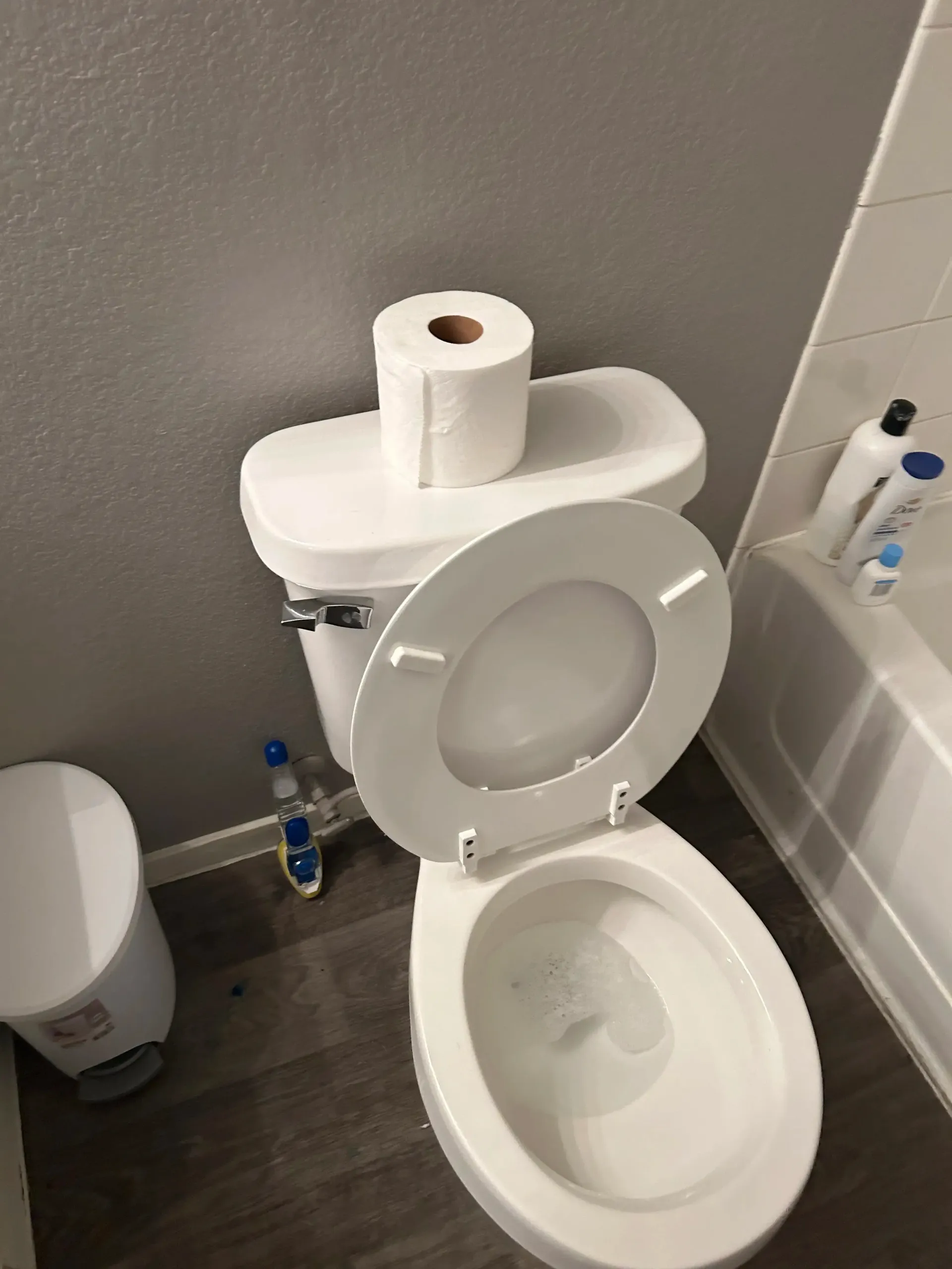 A toilet with a roll of toilet paper on top of it