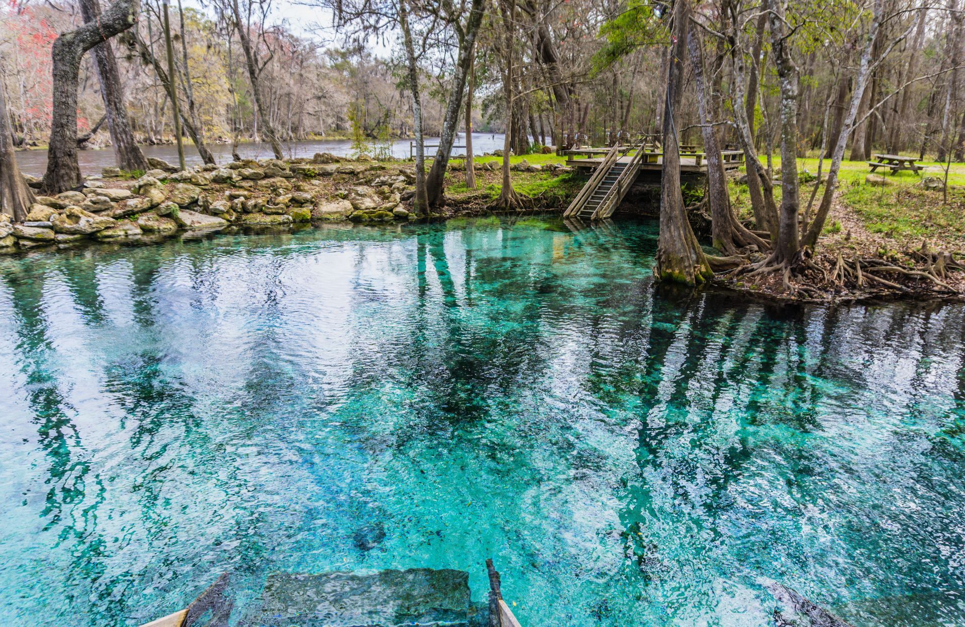 A body of water surrounded by trees.