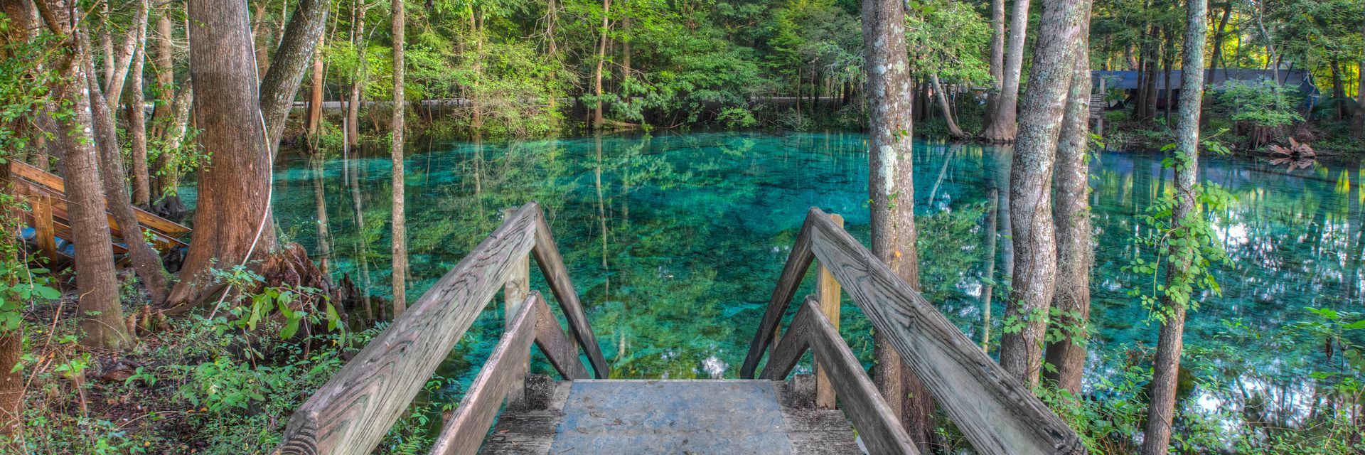A wooden bridge leading to a lake in the middle of a forest.