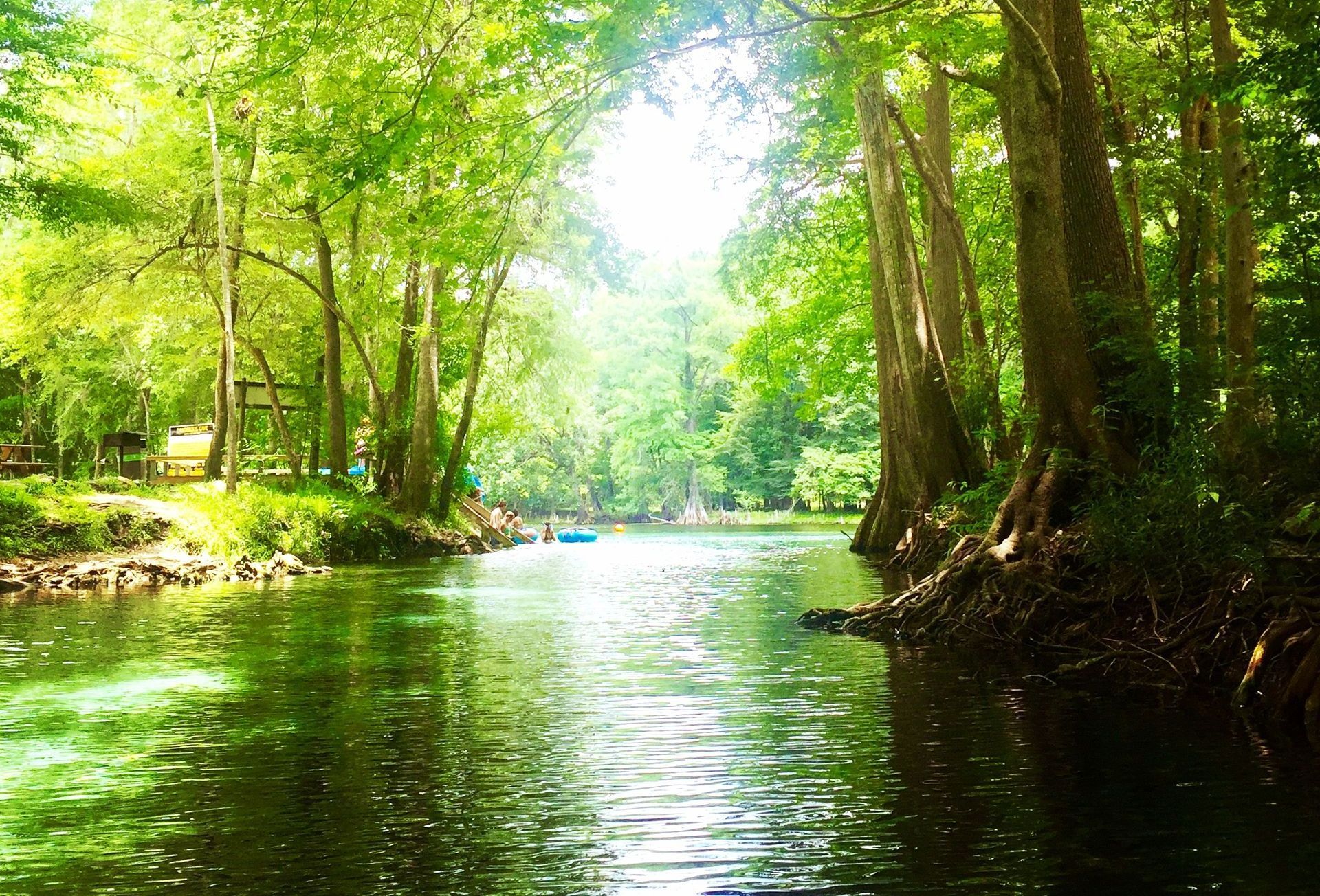 A painting of a forest with trees reflected in the water.
