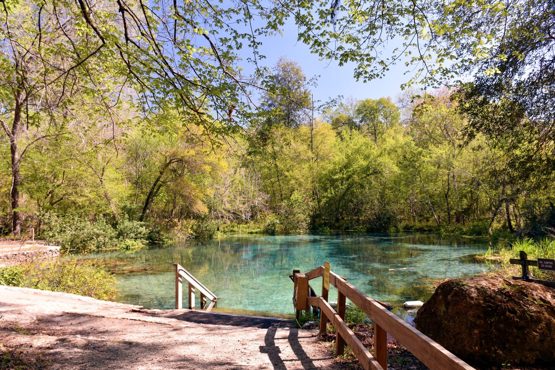 A wooden bridge leading to a lake in the middle of a forest.