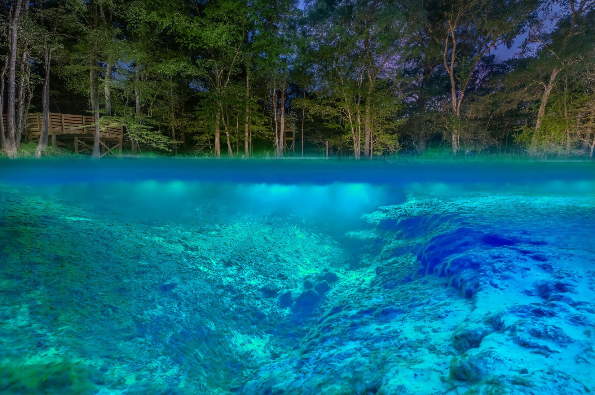 A half underwater view of a lake with trees in the background.