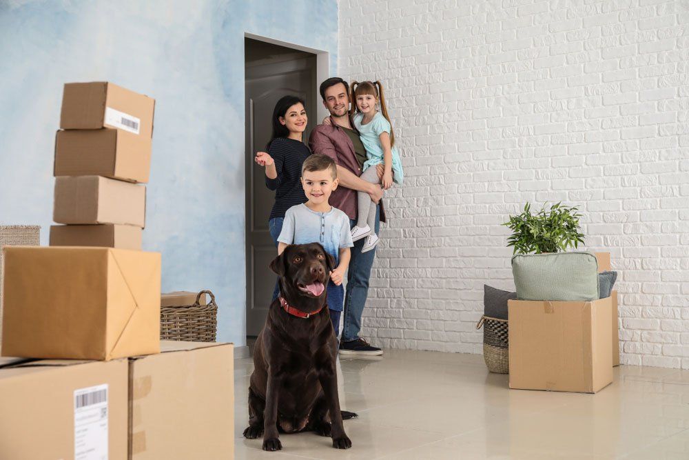 Family with kids and a chocolate Labrador is moving into a new house - Forster-Tuncurry, NSW