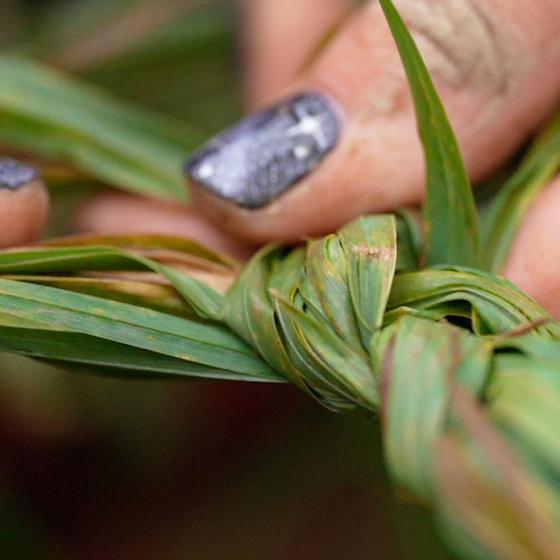 Hands with dark glittery nail polish weaving long green blades of grass together.