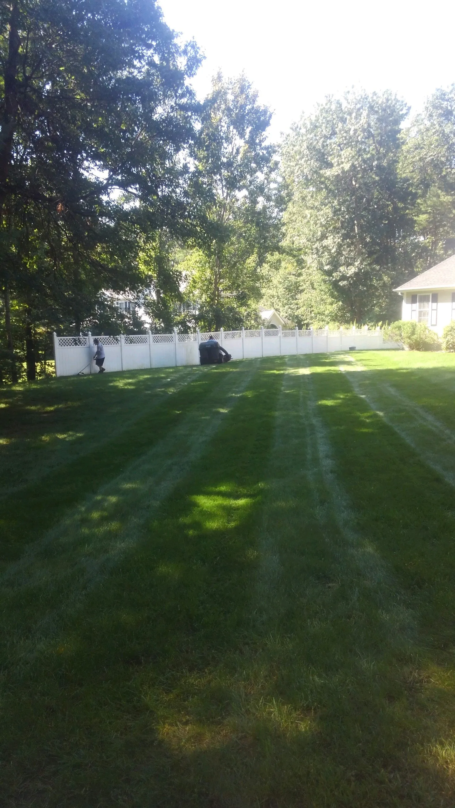 A lawn mower is cutting a lush green lawn in front of a white fence.