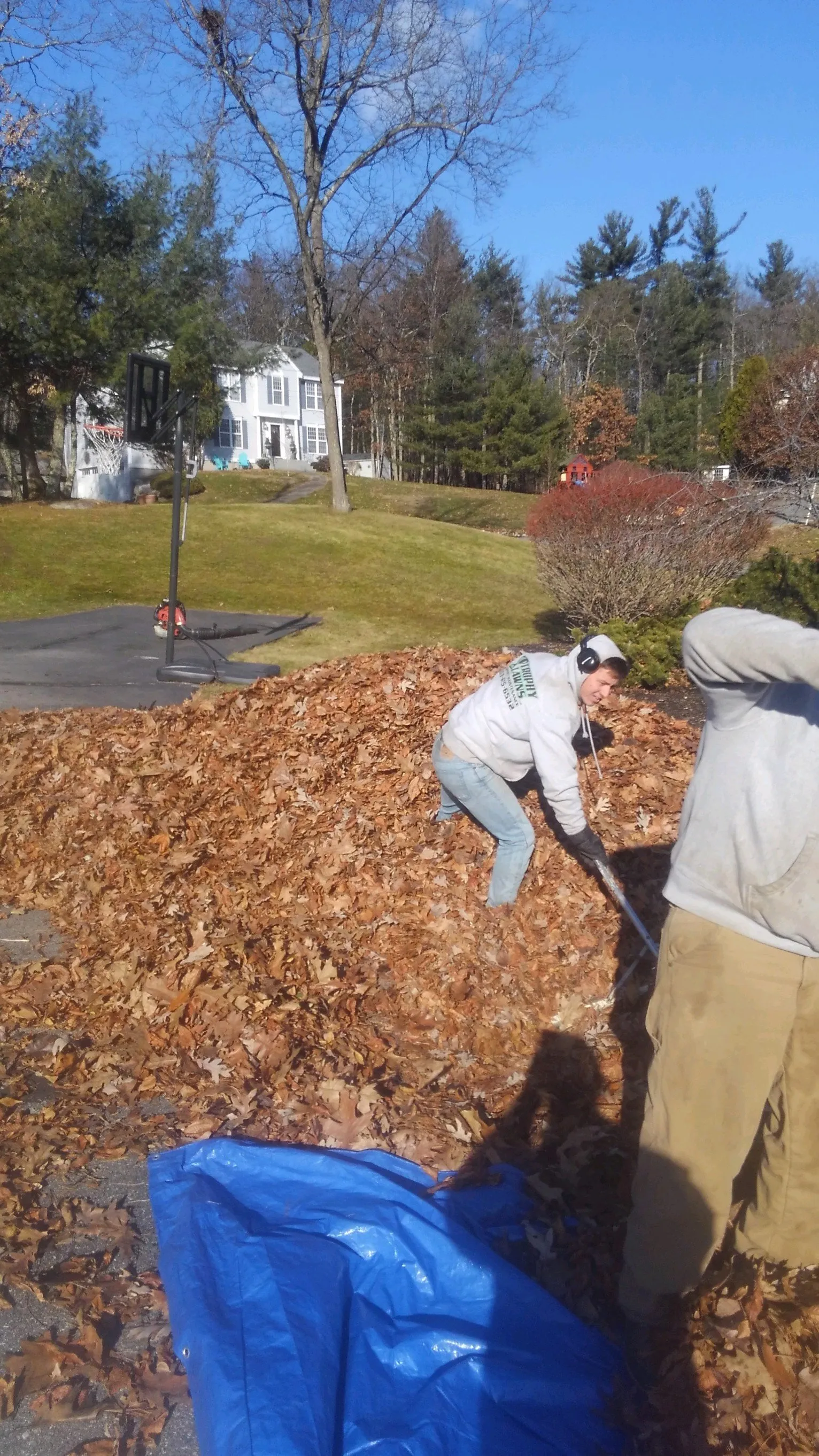 A man is raking leaves in a park on a sunny day.