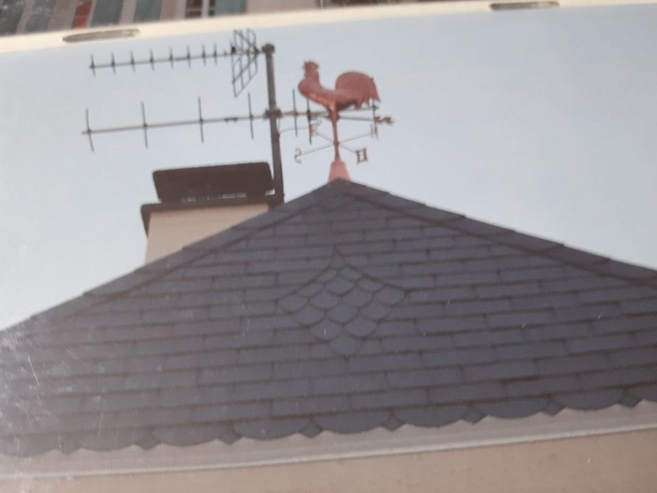 Toit avec une girouette en forme de coq. Toit en ardoise avec antenne TV et cheminée.