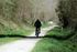 Personne à vélo sur un chemin traversant une zone boisée ; journée ensoleillée.