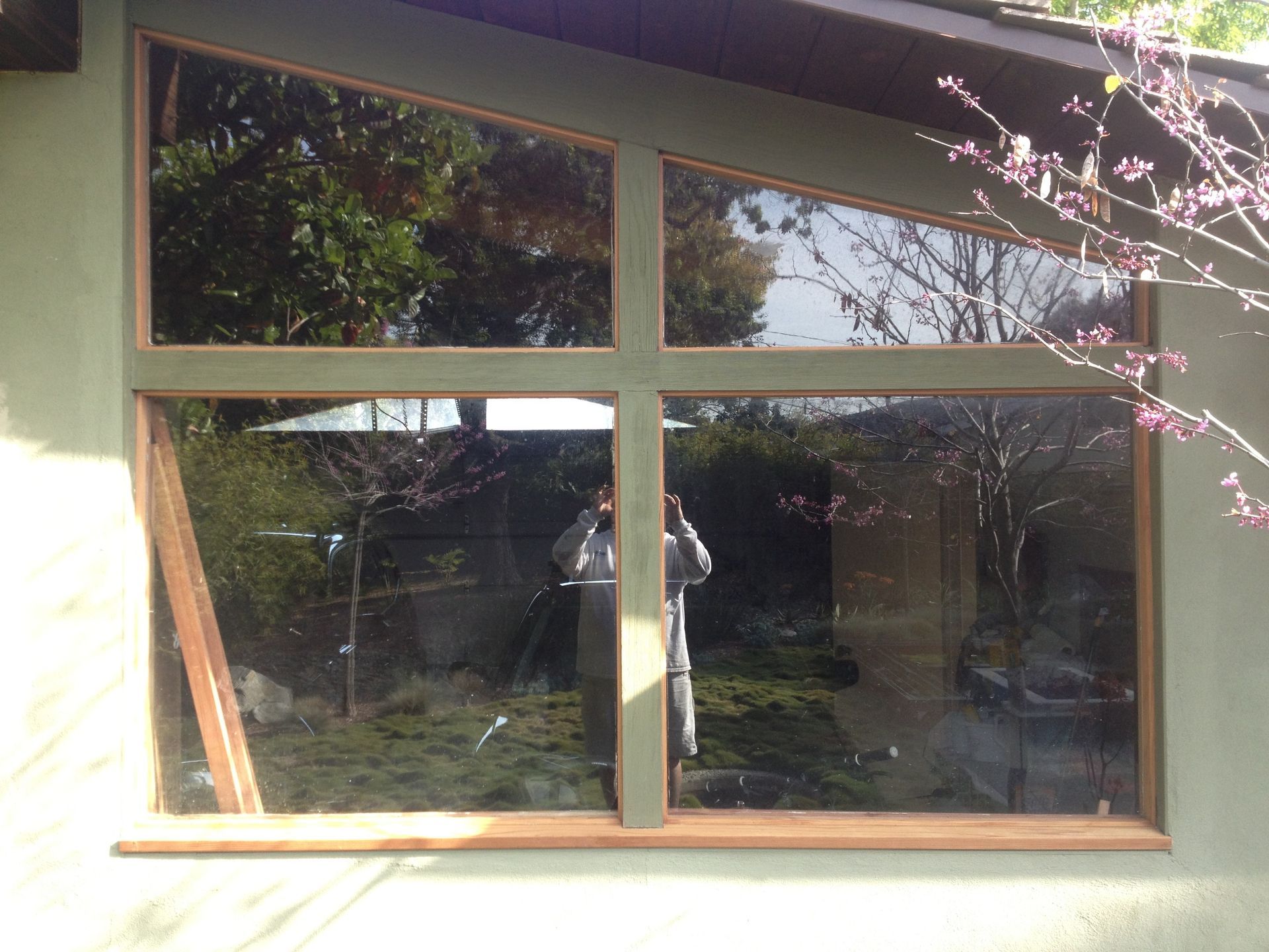 Window with green frame reflecting trees, sky, and a person taking a photo.