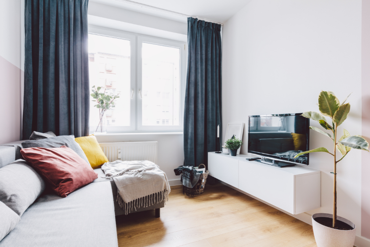 Living room with couch, TV, window with dark curtains, and a potted plant.