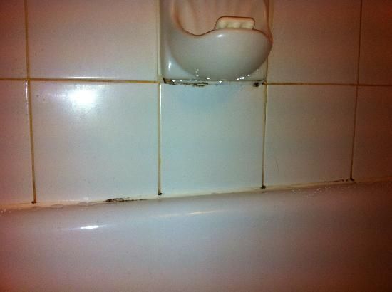 White tiled bathroom wall with soap dish over a white tub; some mold visible.