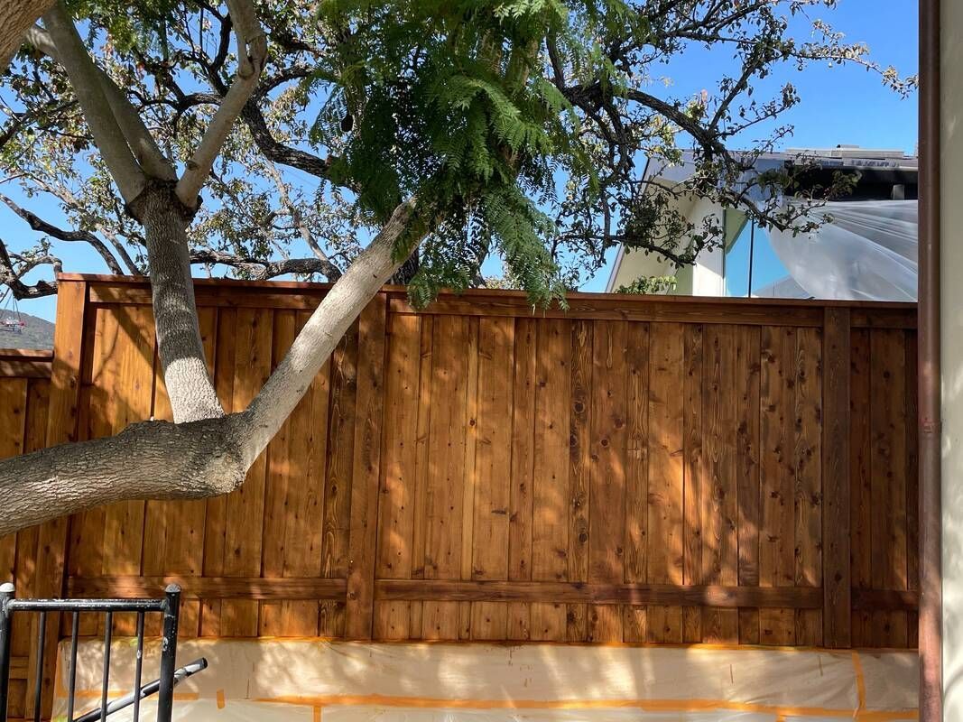 Wooden fence stained brown, with tree branches in front and blue sky in the background.