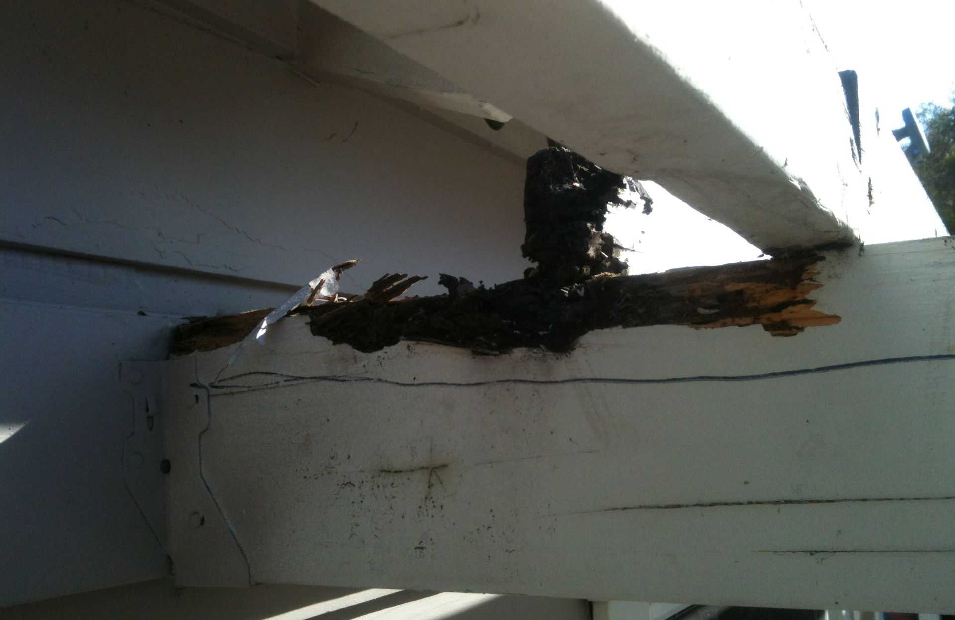 Damaged white wooden beam with dark rot and debris, likely a support structure outdoors.