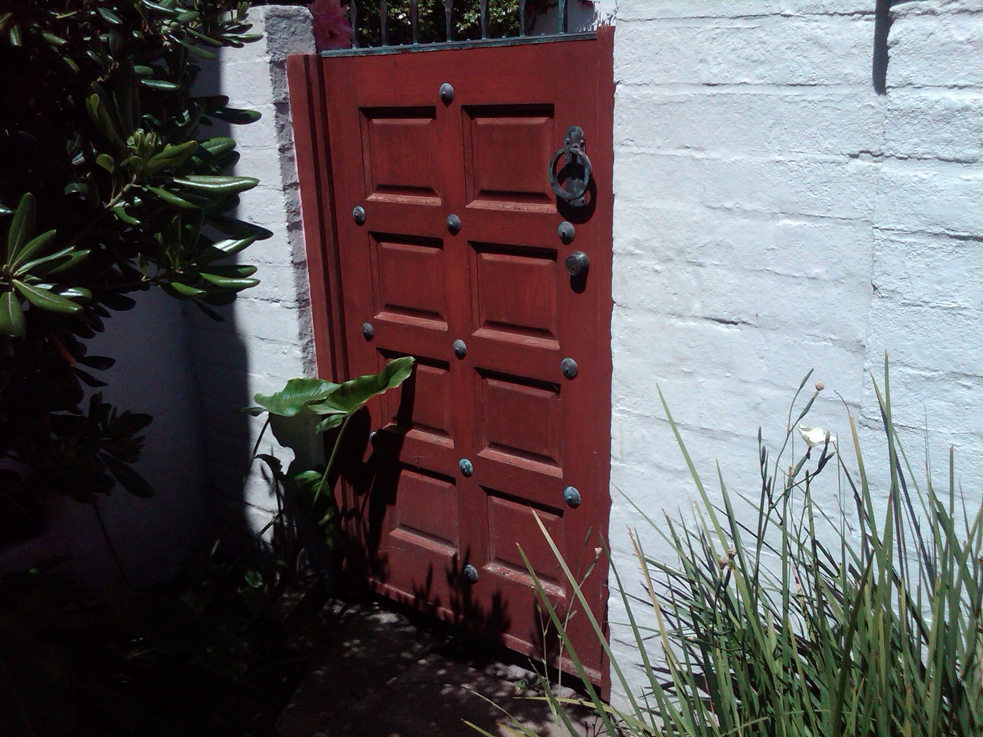 Red wooden door with studded panels in a white brick wall, with greenery on either side.